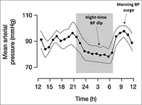 Fig.1 Ritmo circadiano de la PA
